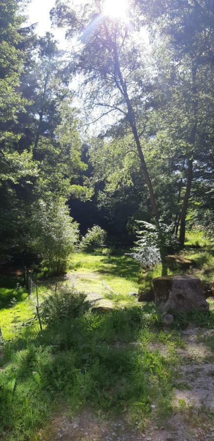 Gite De La Baerenbach Haselbourg Bagian luar foto
