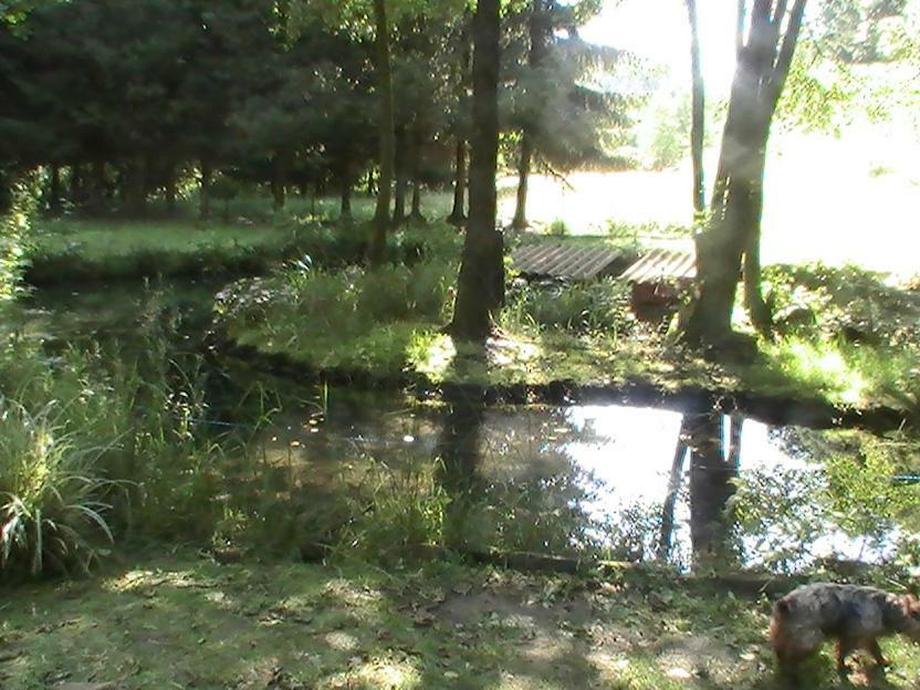 Gite De La Baerenbach Haselbourg Bagian luar foto